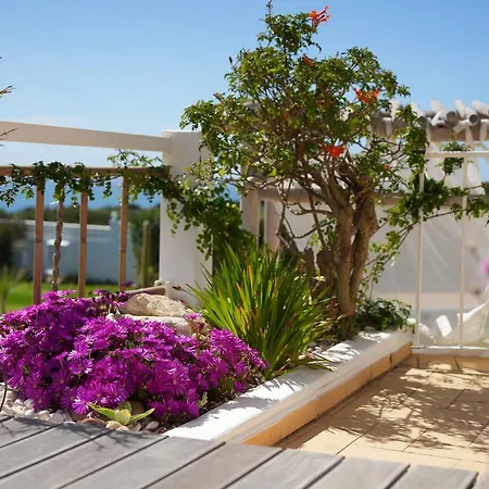 Amazing Sea View Agua E Sal *